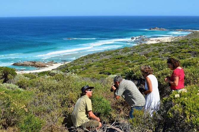Margaret River Coastal and Wildlife Eco Trip from Busselton or Dunsborough - Key Points