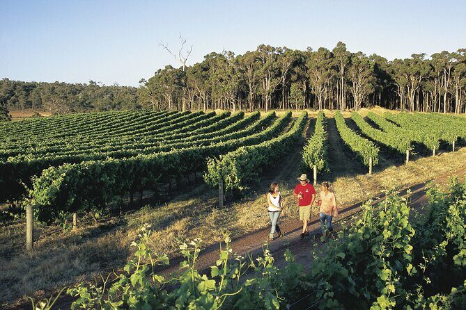 Margaret River Coastal Tour - Key Points