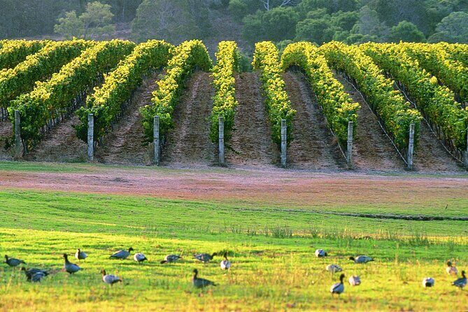 Margaret River Coastal Tour - Final Thoughts