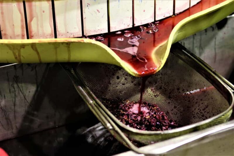 Margaret River: Customizable Guided Private Wine Tour - Who Will Love This Tour?