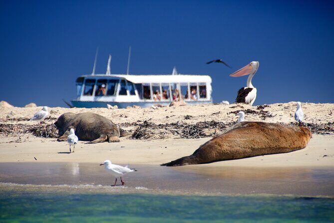 Margaret River Day Tour With Wildlife Cruise & Wine Tasting - Discover the Margaret River Day Tour With Wildlife Cruise & Wine Tasting