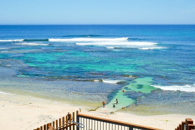 Margaret River Day Tour With Wildlife Cruise & Wine Tasting - Final Thoughts