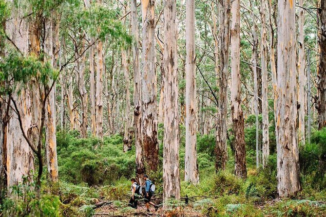 Margaret River Getaway 2 Day Tour - Day 1: Coastal Landmarks, Vineyards, and Iconic Beaches