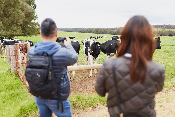 Margaret River Indulge and Discover Day Tour - FAQ: Your Practical Questions Answered