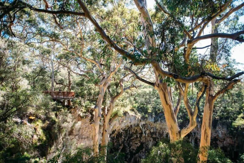 Margaret River: Lake Cave Fully-Guided Tour - Key Points