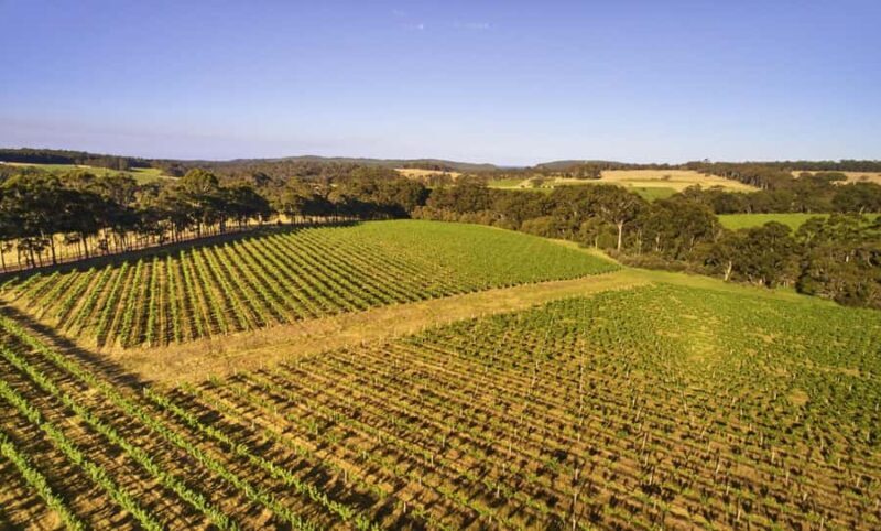 Margaret River: Leeuwin Estate Winery Art and Wine Tasting - Final Thoughts: Who Will Love This Experience?