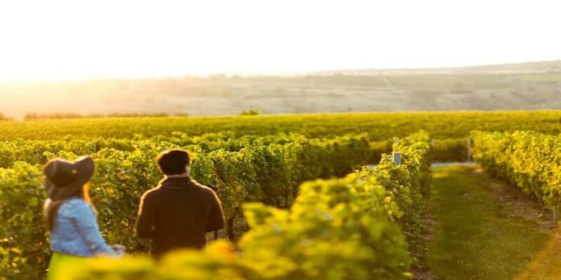 Margaret River Private Day Tour from Perth - Key Points