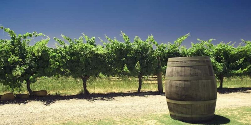 Margaret River Private Day Tour from Perth - An Introduction to the Margaret River Private Day Tour