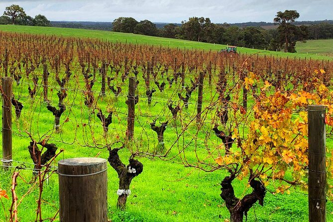 Margaret River Private Day Tours - Who Will Love This Tour?