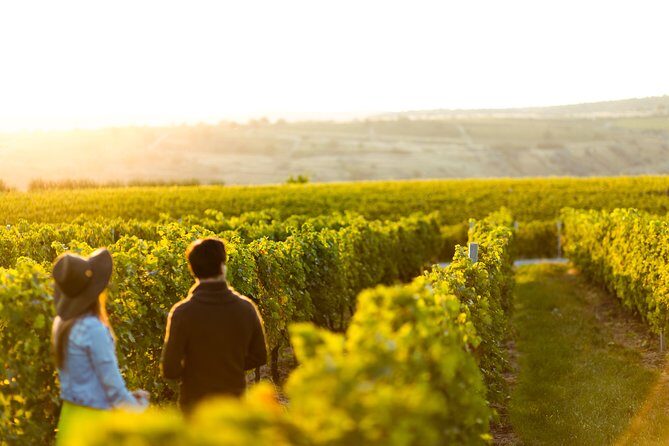 Margaret River Private Tour - Key Points
