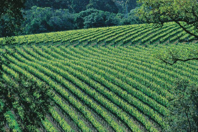 Margaret River Private Tour - An In-Depth Look at the Margaret River Private Tour