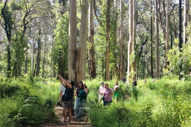 Margaret River Region Impression Day Tour from Perth - Final Thoughts