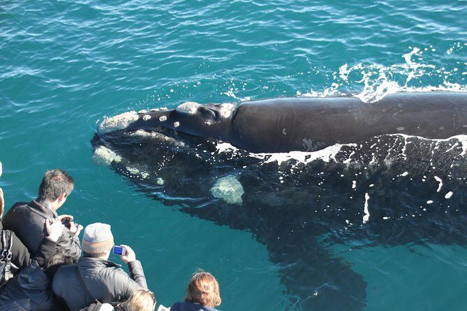 Margaret River Wine and Sights Discovery Tour from Busselton or Dunsborough - Frequently Asked Questions