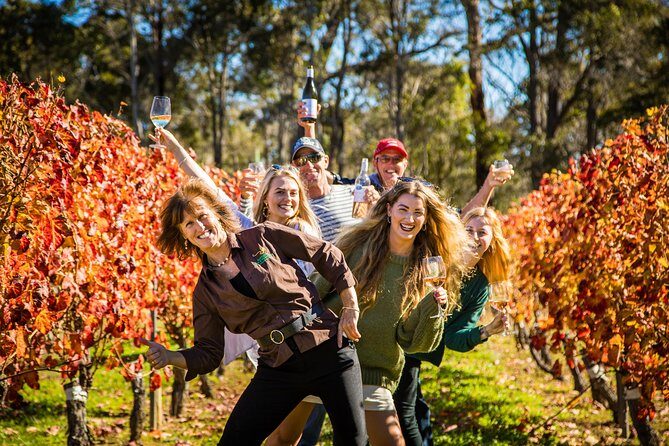 Margaret River Winery, Brewery Tour with Gourmet Lunch. - What’s Included and What’s Not: The Practicalities