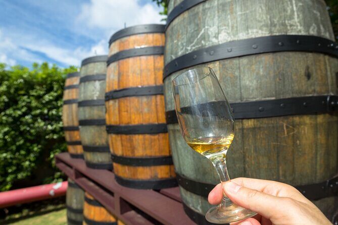 Margaret Rivers Wine & Chocolate Odyssey: Private Tour - Discovering Margaret River on a Private Tour