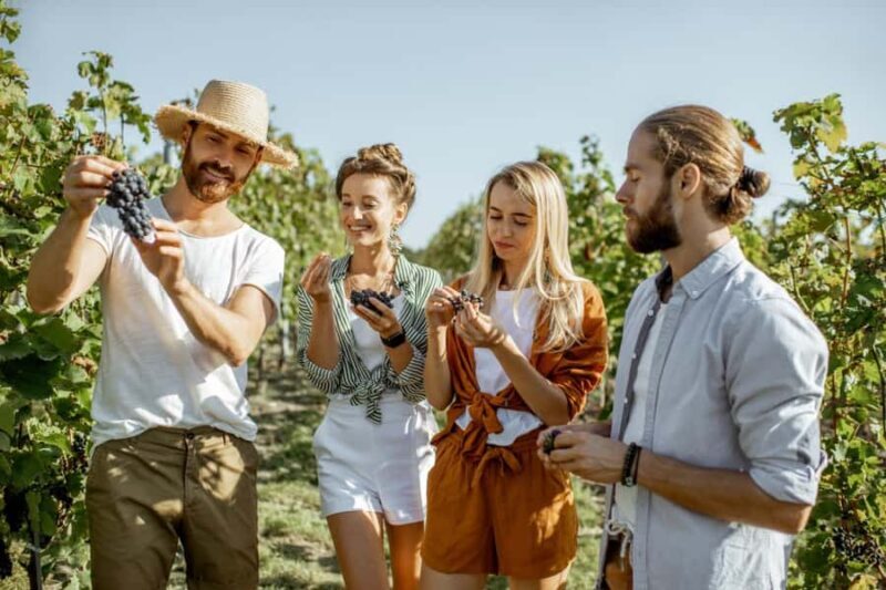 Margaret Rivers Wine & Chocolate Odyssey: Private Tour - An In-Depth Look at the Tour