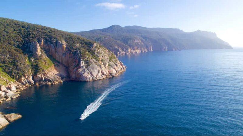 Maria Island 3 hours and 30 mins Scenic Cruise - An In-Depth Look at the Cruise Experience