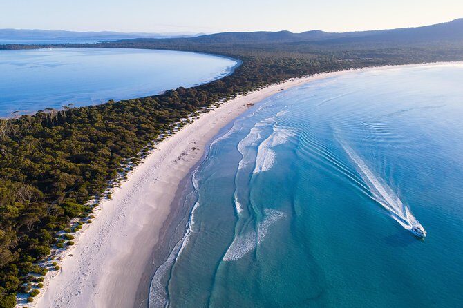 Maria Island Cruise and Guided Walk Day Tour with Lunch and Drinks - The Day in Detail: What to Expect