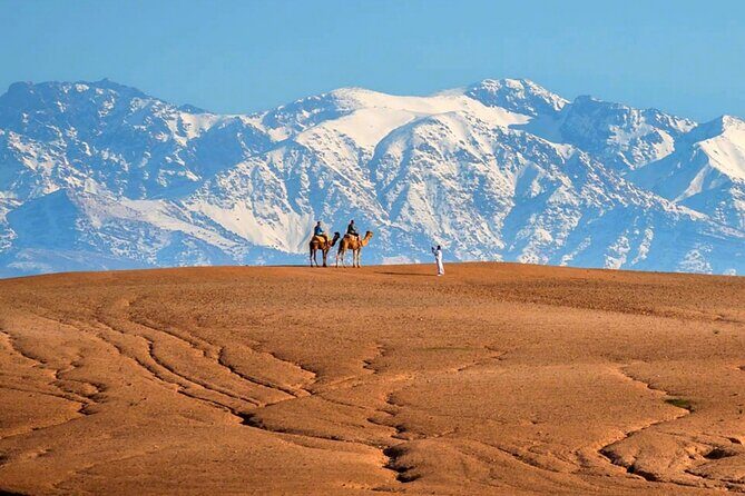Marical dinner and camel ride at sunset in Desert of Marrakech - The Sum Up