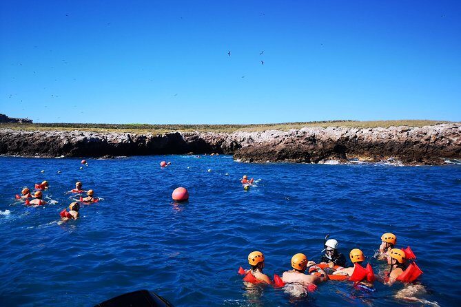 Marietas Islands Snorkel Tour & Hidden Beach - An In-Depth Look at the Tour Experience