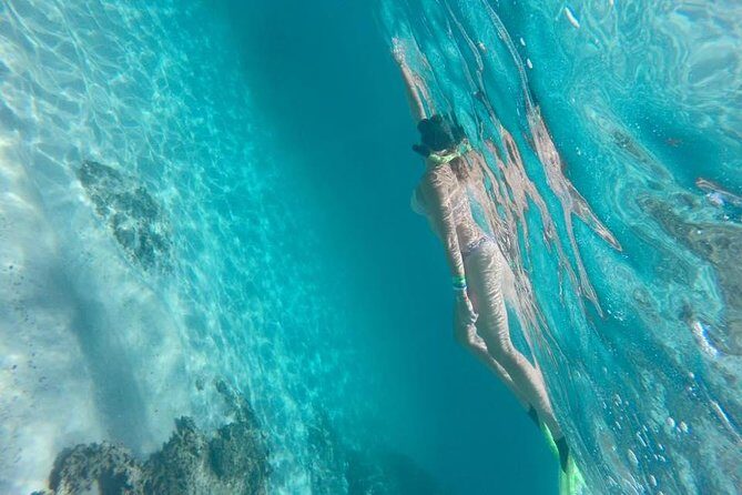 Marietas Islands Snorkeling Tour - Reviews and Real Experiences