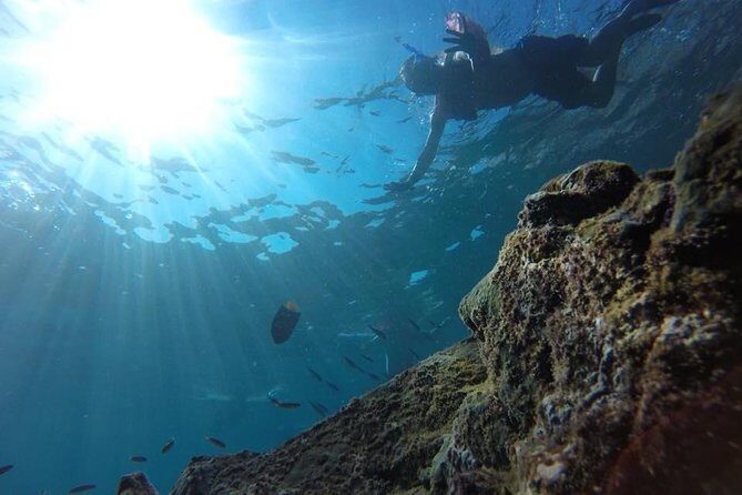 Marietas Islands Snorkeling Tour - FAQ