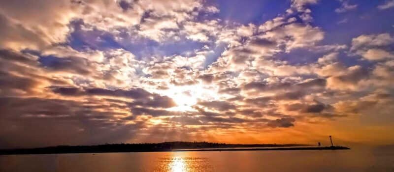 Marina Del Rey: Romantic Cruise, Dinner Charcuterie or Sushi - What Makes This Marina Del Rey Cruise Stand Out?
