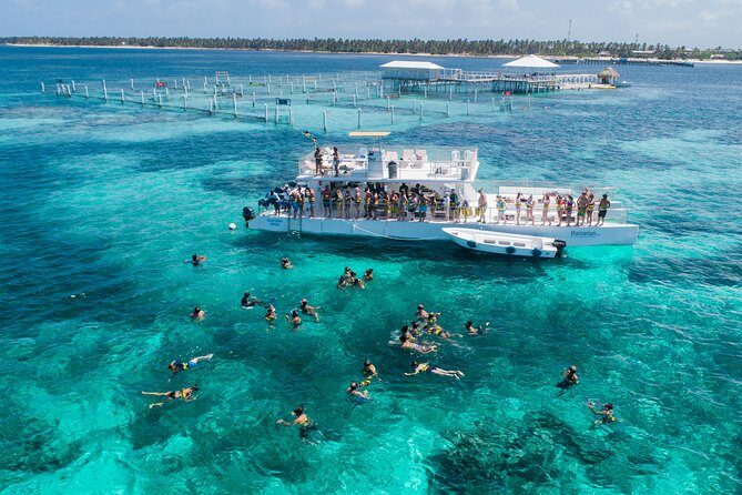 Marinarium Snorkeling Cruise from Punta Cana - A Closer Look at the Itinerary and Experience