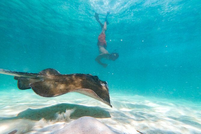 Marinarium Snorkeling Cruise from Punta Cana - FAQs