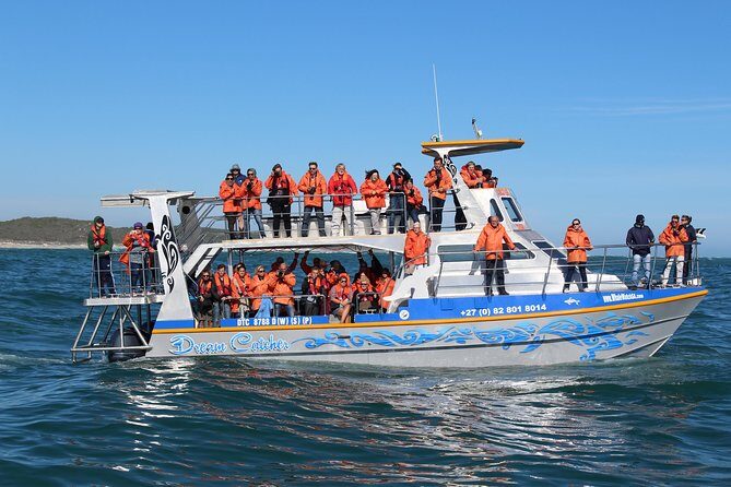 Marine Big 5 Full Day Guided Return Transfer Cape Town - Gansbaai - Final Thoughts