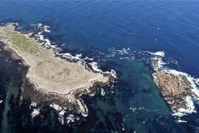 Marine Big 5 Safari with transport from Hermanus - Who Will Love This Tour?