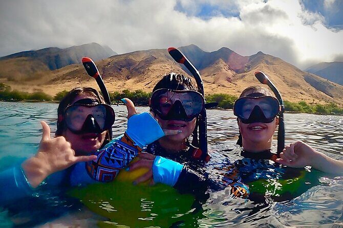 Marine Biologist Guided Snorkel Tour from Shore at Turtle Town - The Itinerary Breakdown