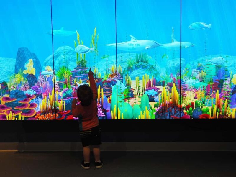 Marine Discovery Centre - An Overview of What to Expect