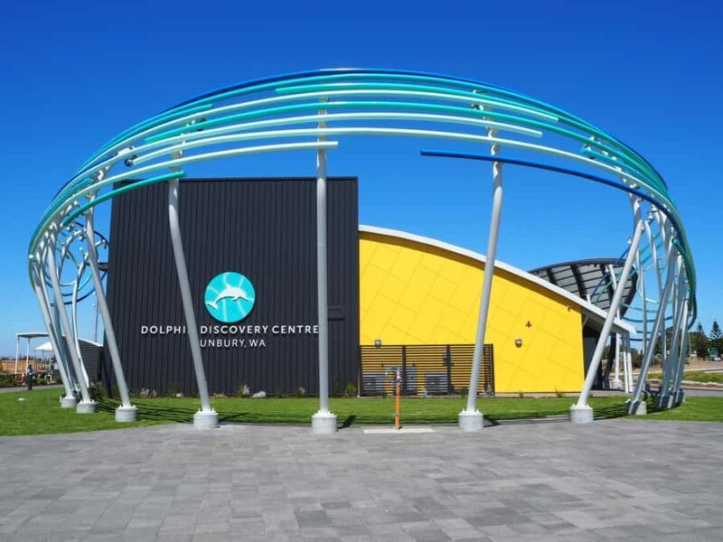 Marine Discovery Centre - The Wild Dolphin Connection