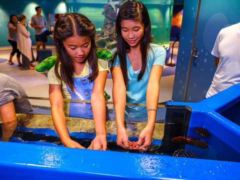 Marine Discovery Centre - Pricing and Value