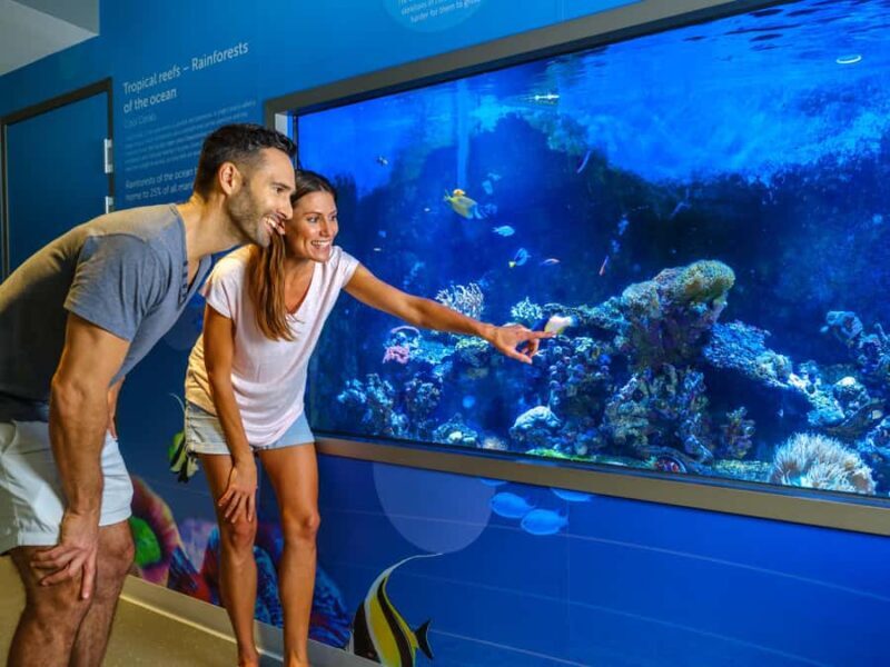 Marine Discovery Centre - Additional Experiences Nearby