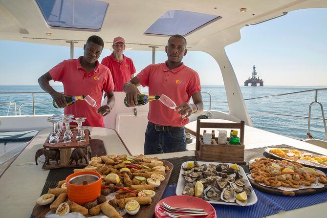 Marine Dolphin Seal Cruise - An In-Depth Look at the Walvis Bay Marine Eco Cruise