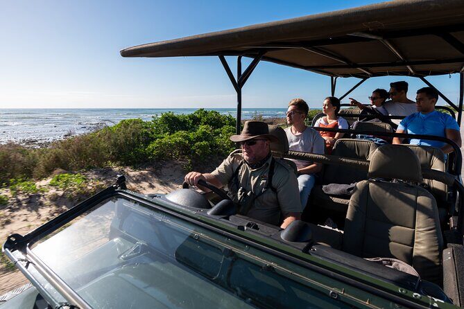 Marine Eco Safari - The Itinerary: What Does the Tour Cover?