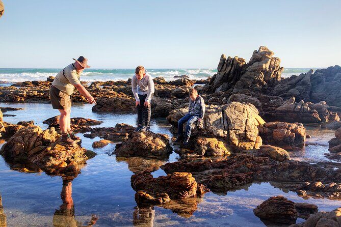 Marine Eco Safari - The Value of the Tour