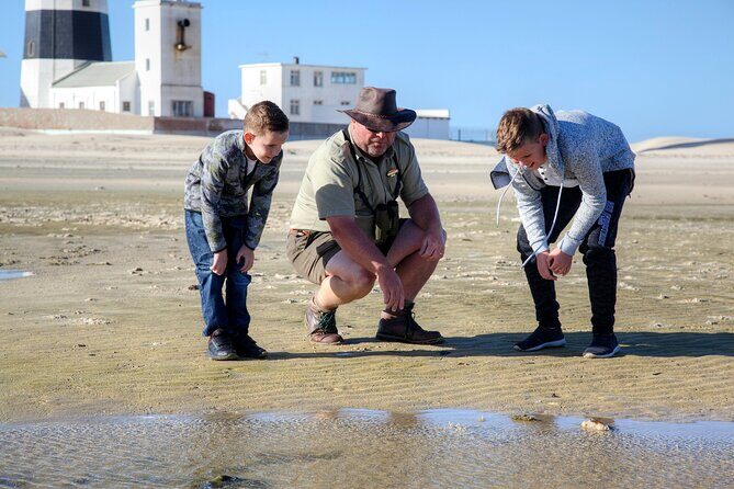Marine Eco Safari - Who Will Appreciate This Tour?