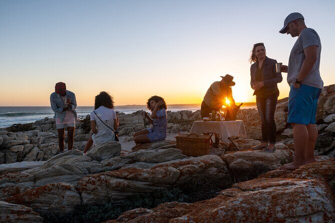Marine Eco Safari - The Sum Up: Who Is This Tour Best For?