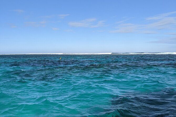 Marine Eco Safari - Swim with Manta Rays - The Sum Up