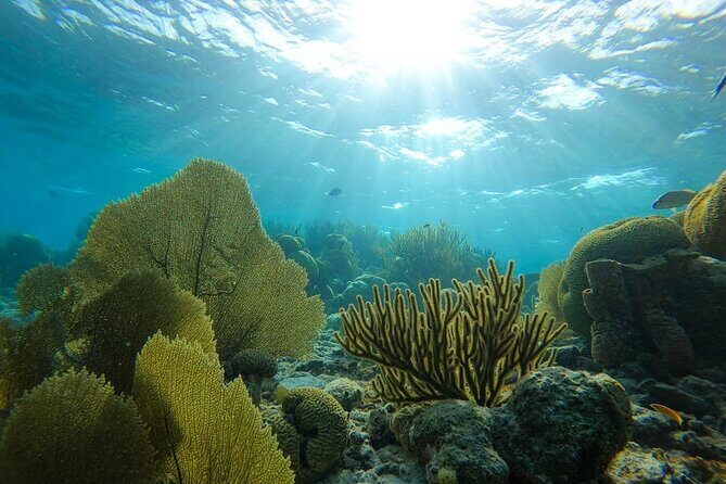 Marine Park - Private Boat charter with LOCAL Captain/ Guide - Why Opt for a Private Boat Tour?