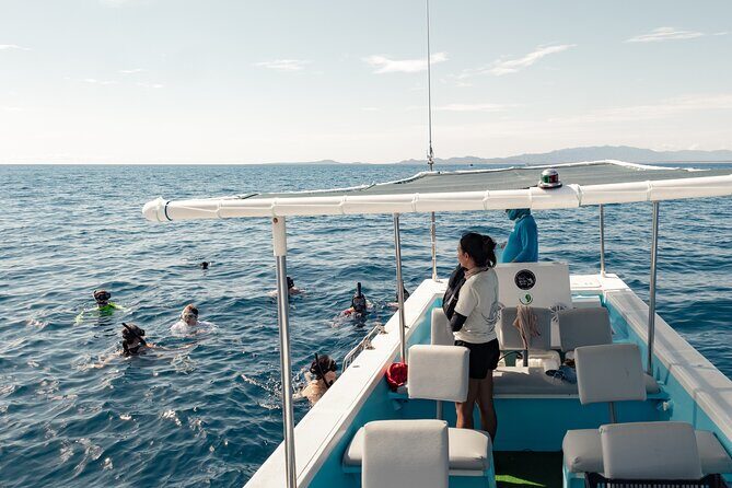 Marine Safari in La Ventana - An In-Depth Look at the Marine Safari Experience