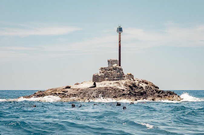 Marine Safari in La Ventana - FAQ