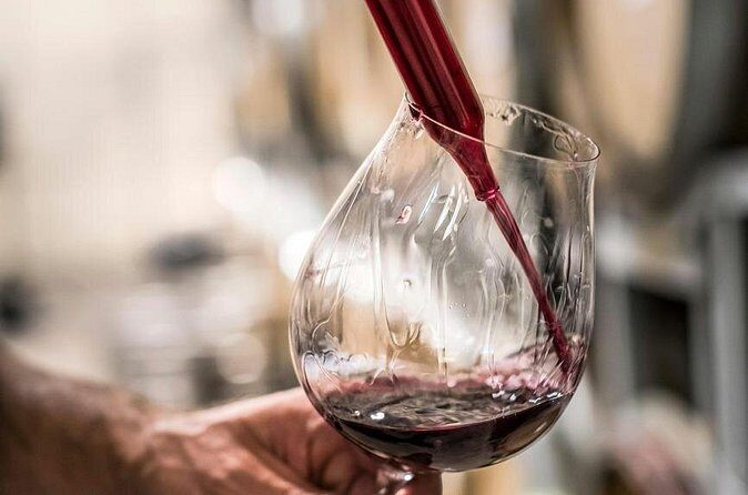 Marlborough Afternoon Wine Tour Taste Local Wines - The Sum Up: Who Will Love This Tour?