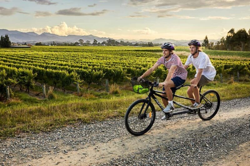 Marlborough: Full-Day Self-Guided Biking Wine Tour - Exploring Marlborough on Two Wheels: The Practical Details