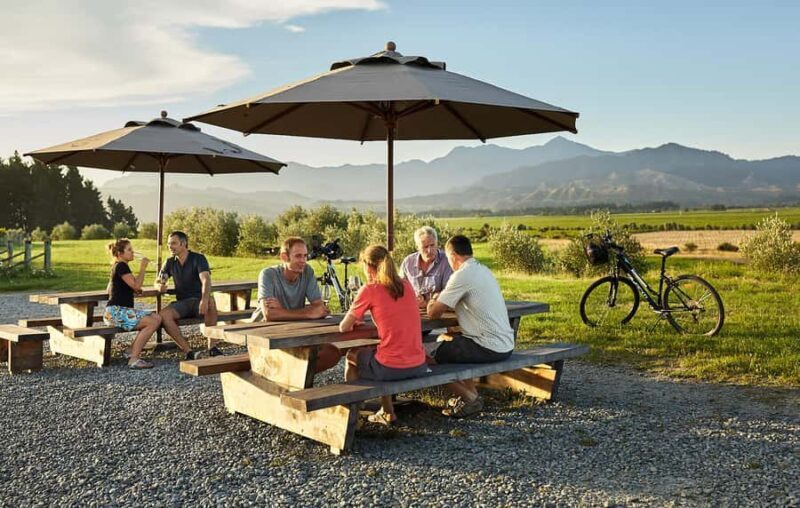 Marlborough: Full-Day Self-Guided Biking Wine Tour - The Convenience Factor: Transfers and Flexibility