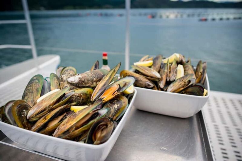 Marlborough: Full-Day Wine and Seafood Tour with Cruise - Key Points