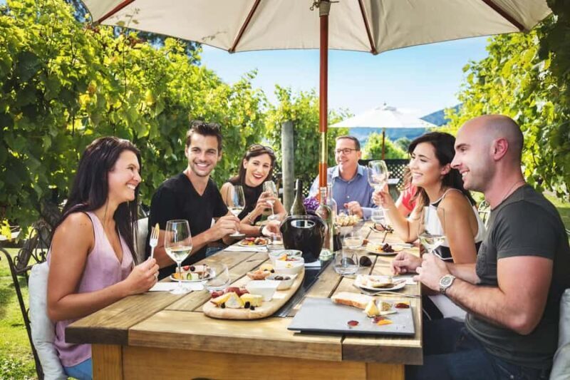 Marlborough: Full Day "Winemaker's Tour" - An In-Depth Look at the Tour Experience